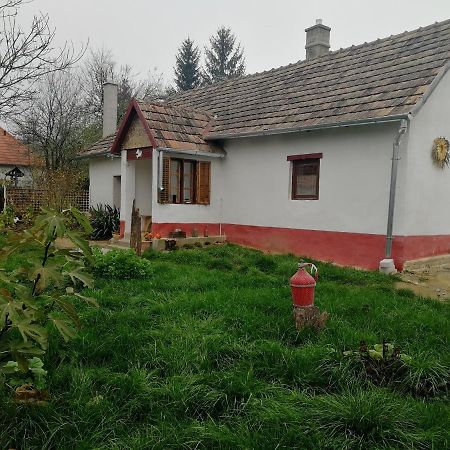 Villa Traditionelles Bauernhaus Flieder Zalaszentgrót Exterior foto