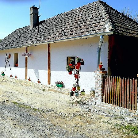 Traditionelles Bauernhaus Flieder Zalaszentgrót Exterior foto