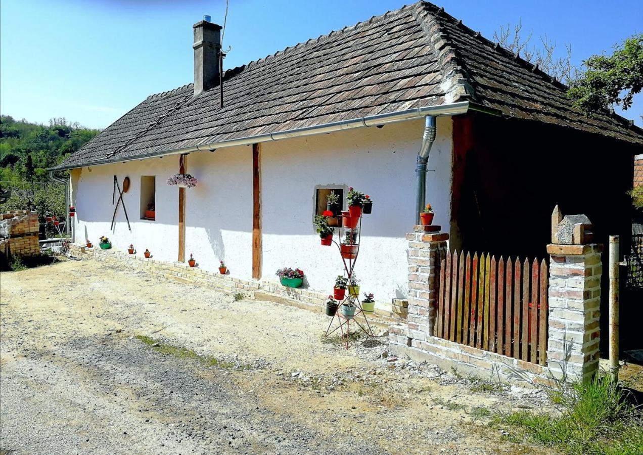 Villa Traditionelles Bauernhaus Flieder Zalaszentgrót Exterior foto